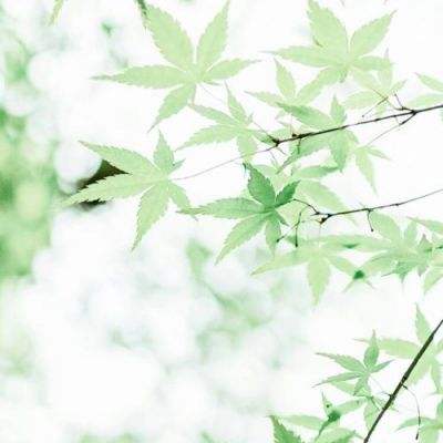 特技跑车游戏下载