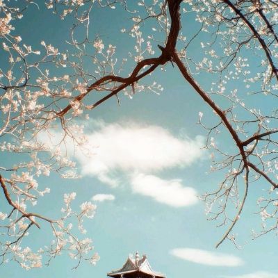 我的世界java联机版下载